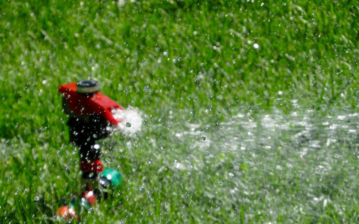 Xeriscaping Myths Debunked: The Truth About Low-Water Landscaping